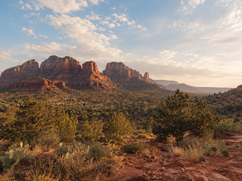 Wide desert landscape panorama at golden hour