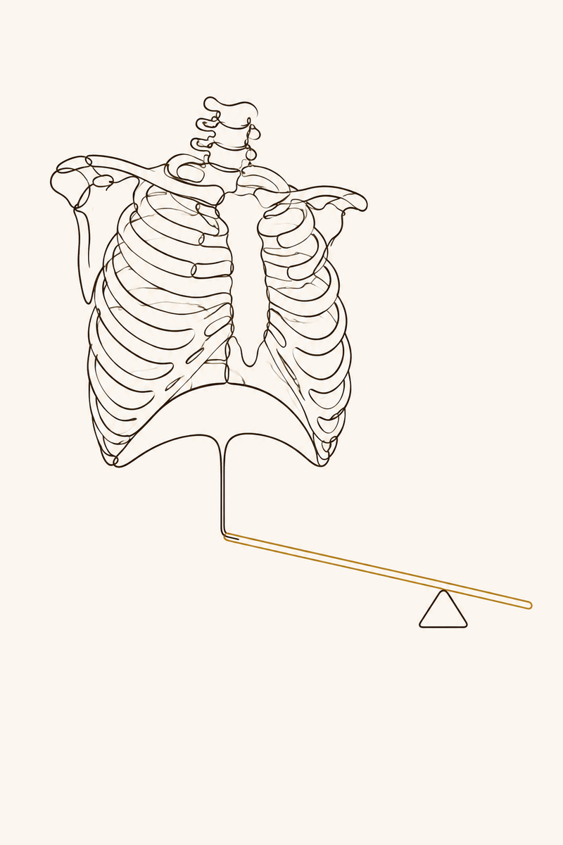 A rib cage and diaphragm drawn as a lever resting on a fulcrum