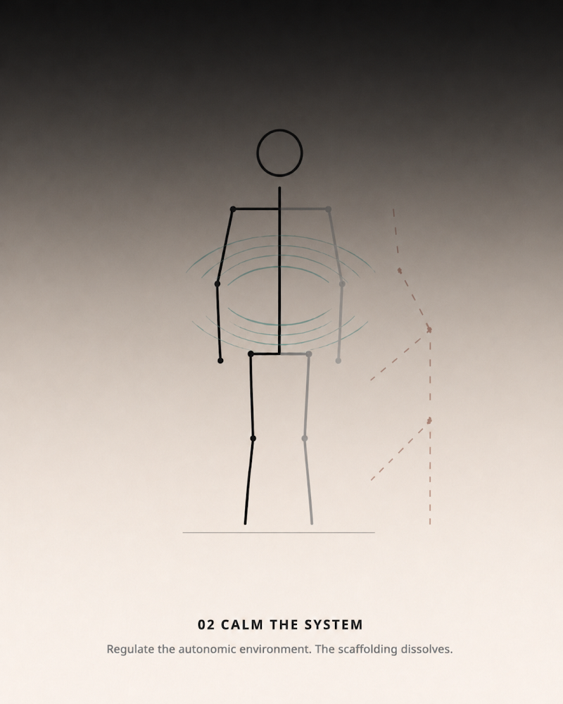 Stick figure labeled “Calm the System” — scaffolding dissolving, autonomic regulation waves around the torso