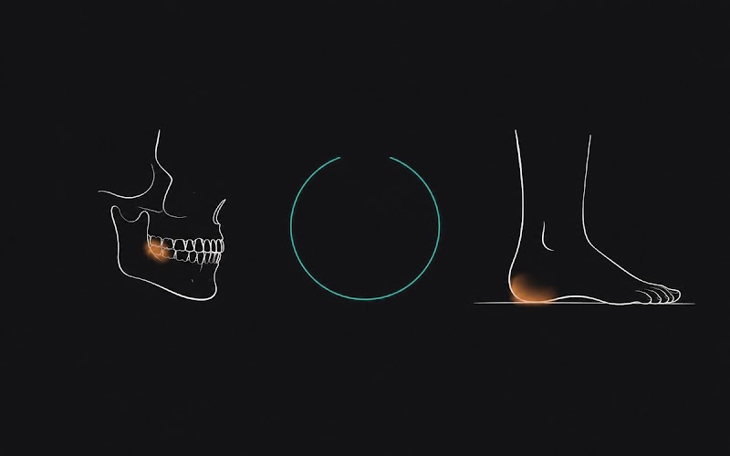 A jaw and skull on the left, a foot on the right, connected through a central node illustrating the teeth-to-feet connection