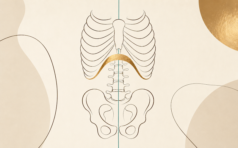Ribcage and pelvis connected by the spine, with a teal vertical midline and gold diaphragm accent, showing the structural relationship between breathing position and force output